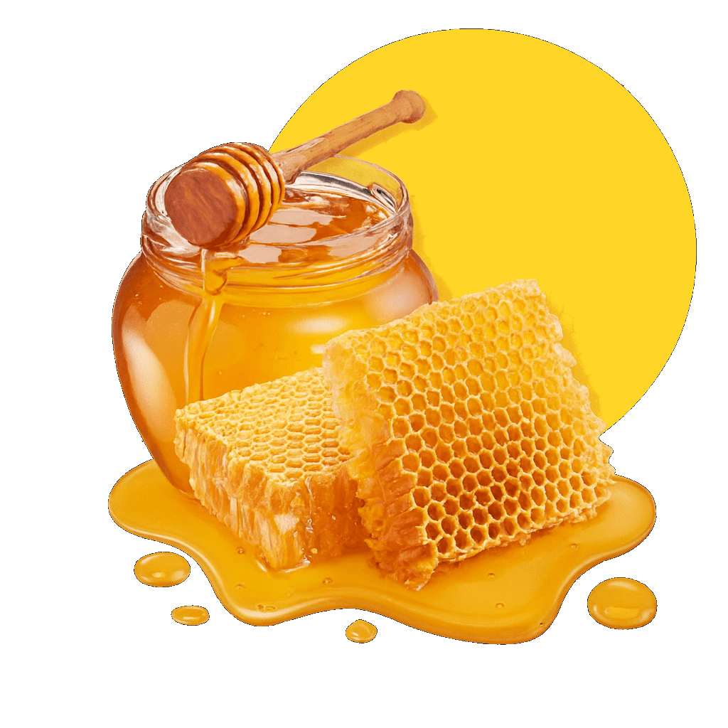 Pure honey jar with honeycomb and dipper